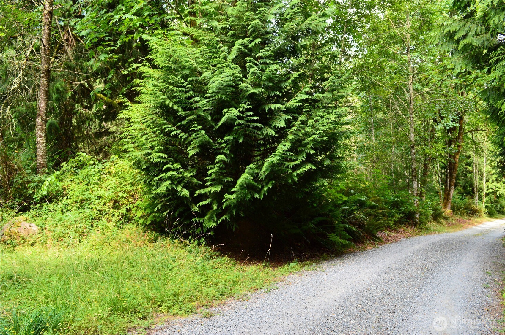 954 Kingsview Lane Sedro-Woolley, WA 98284 - Photo 11 of 40 a view of a garden