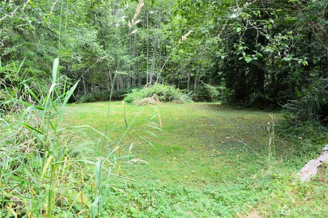 a view of a backyard of the house