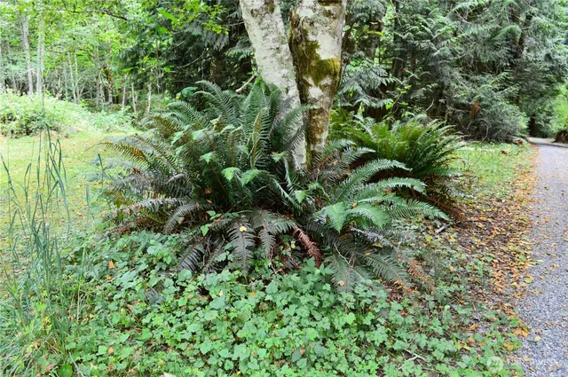 a view of outdoor space and yard