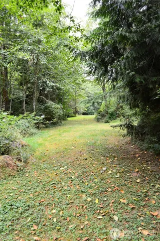 a view of a green yard