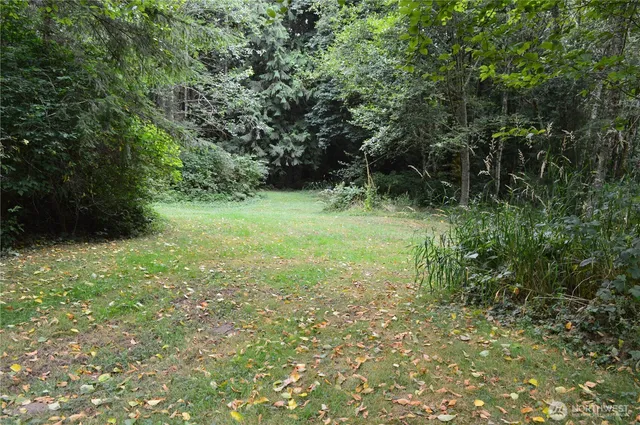 a view of a field with a tree