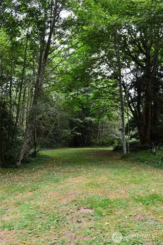 a view of an ocean from a yard