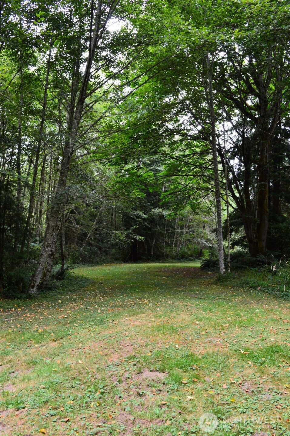 954 Kingsview Lane Sedro-Woolley, WA 98284 - Photo 18 of 40 a view of a green yard