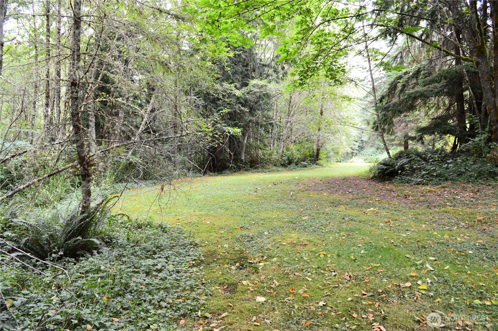 954 Kingsview Lane Sedro-Woolley, WA 98284 - Photo 19 of 40 a view of a field with a tree