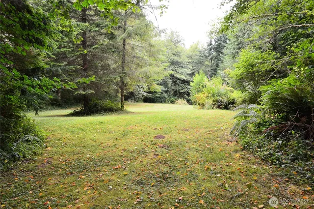 a backyard of a house with lots of green space and fog