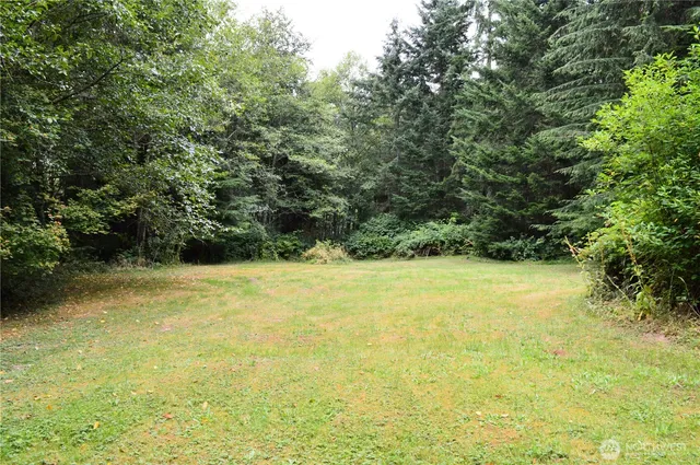 a view of a green field with lots of bushes