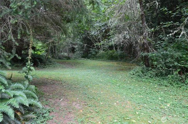 a view of outdoor space and yard