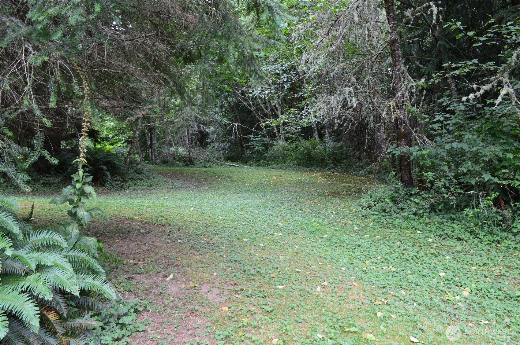 954 Kingsview Lane Sedro-Woolley, WA 98284 - Photo 25 of 40 a view of a green field with lots of bushes