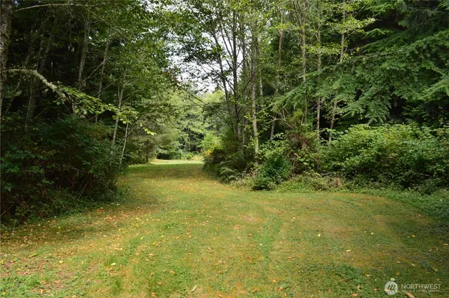 a view of backyard with green space