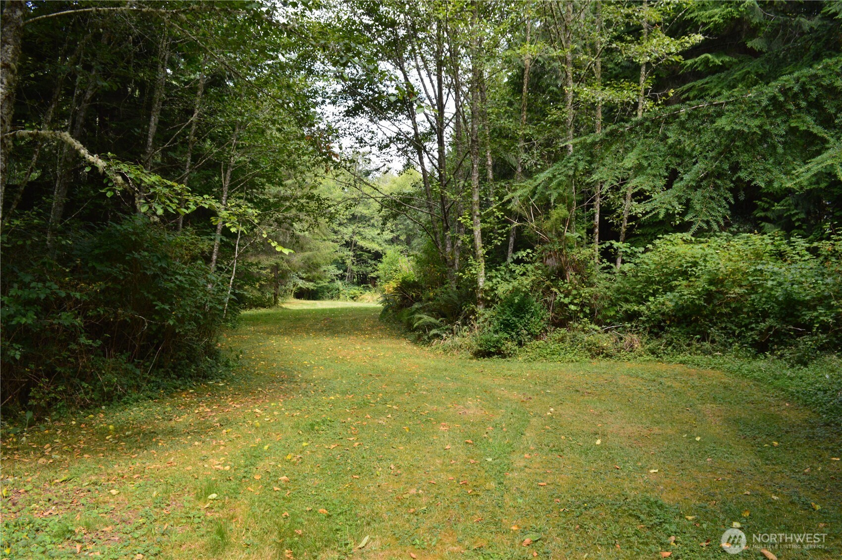 954 Kingsview Lane Sedro-Woolley, WA 98284 - Photo 27 of 40 a view of outdoor space and yard