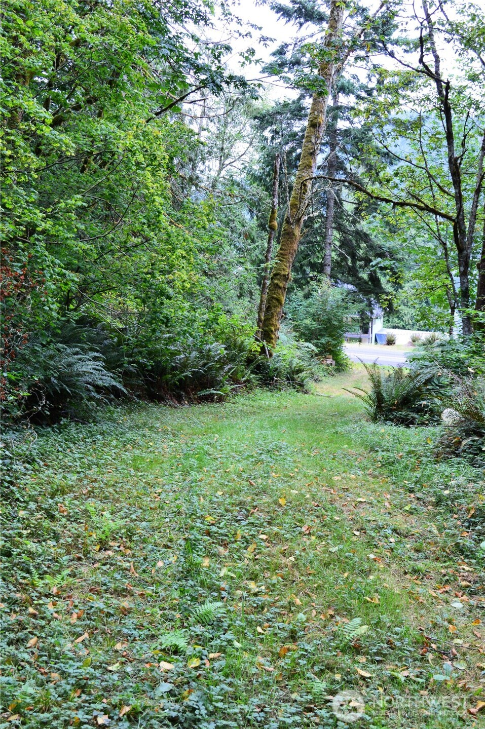 954 Kingsview Lane Sedro-Woolley, WA 98284 - Photo 29 of 40 a view of backyard with green space
