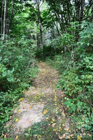 a view of a lake view