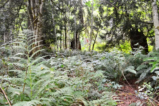 a front view of a house with a garage
