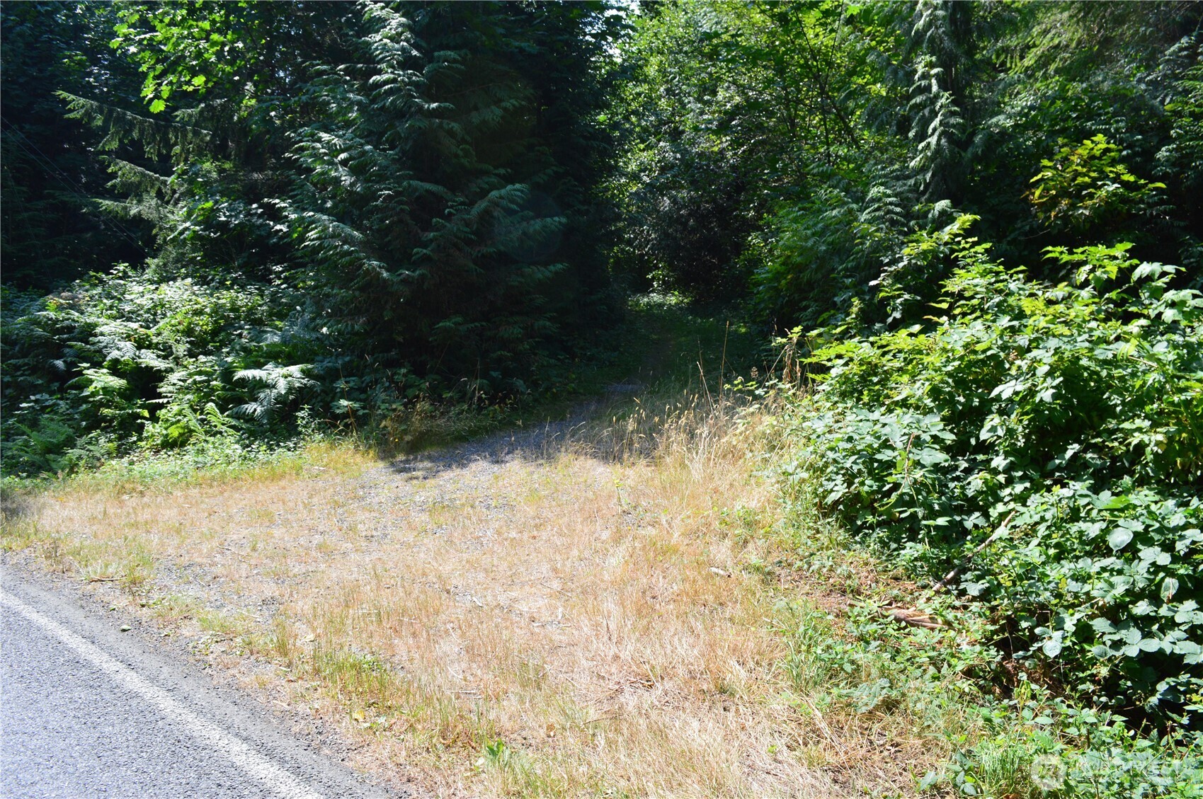 954 Kingsview Lane Sedro-Woolley, WA 98284 - Photo 33 of 40 a view of a lake view