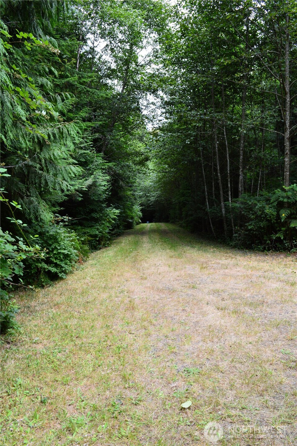 954 Kingsview Lane Sedro-Woolley, WA 98284 - Photo 5 of 40 a view of an outdoor space