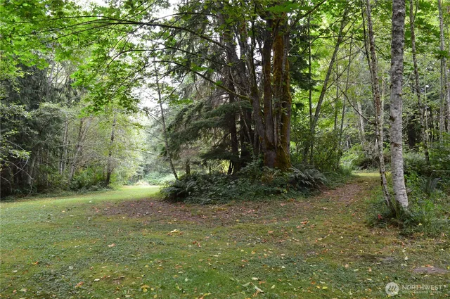 a view of a trees with a yard