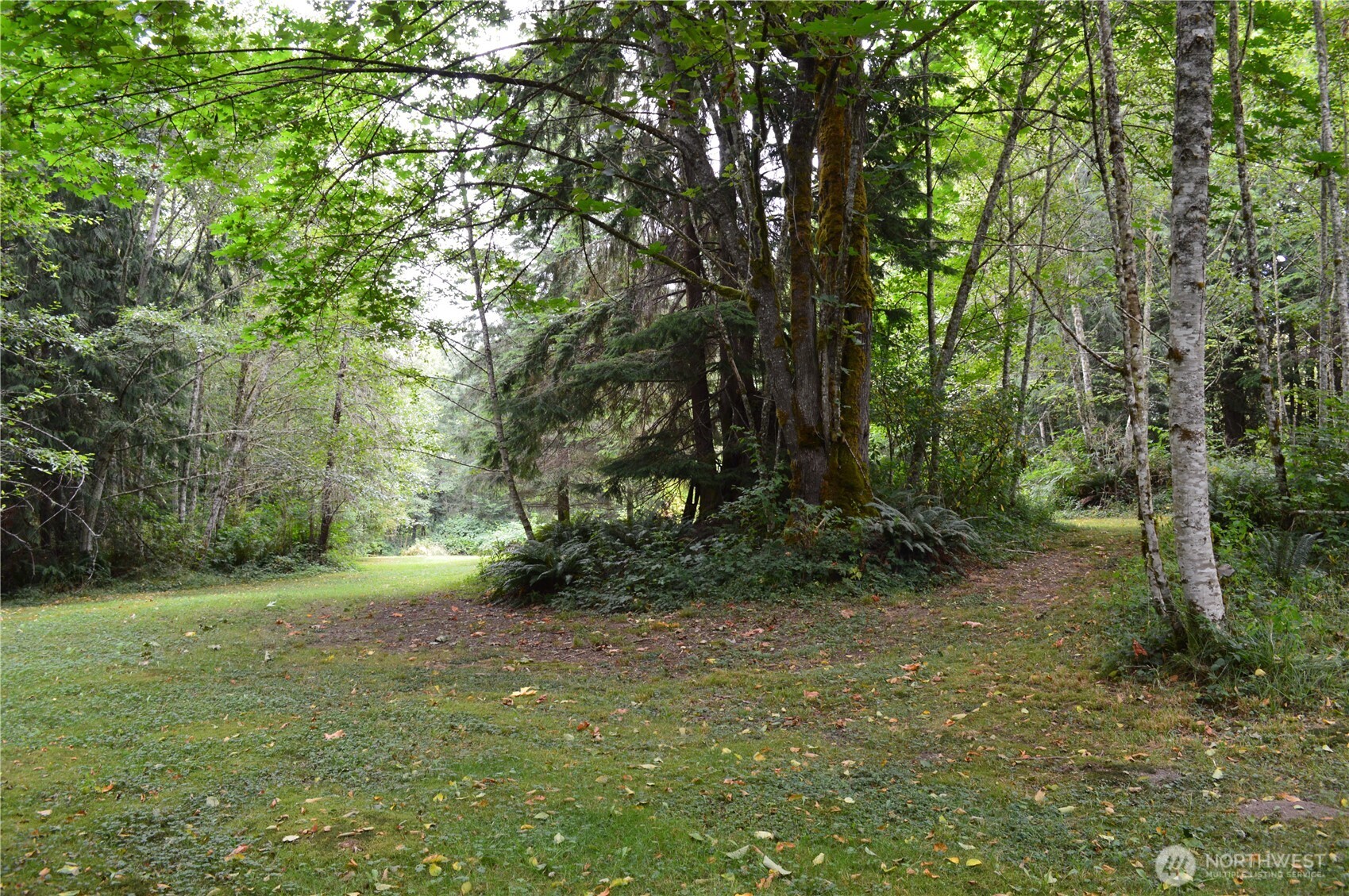 954 Kingsview Lane Sedro-Woolley, WA 98284 - Photo 6 of 40 a view of a trees with a yard