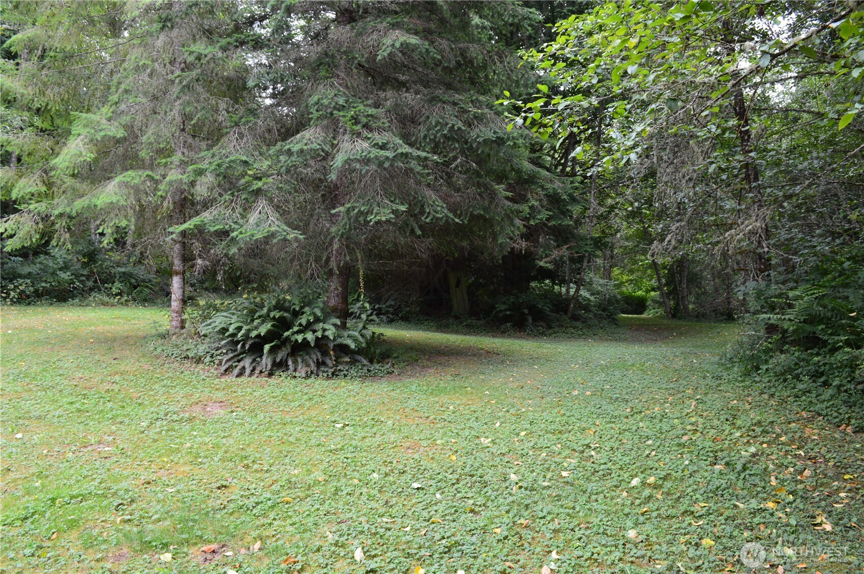954 Kingsview Lane Sedro-Woolley, WA 98284 - Photo 7 of 40 a view of outdoor space