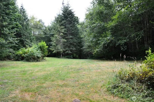 a view of outdoor space and yard