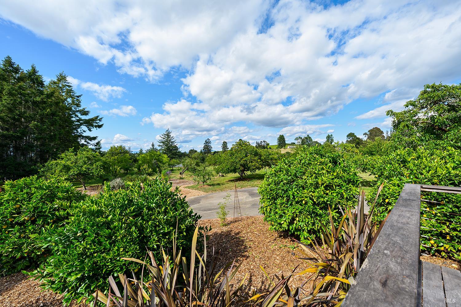2630 Burnside Road Sebastopol, CA 95472 - Photo 45 of 81