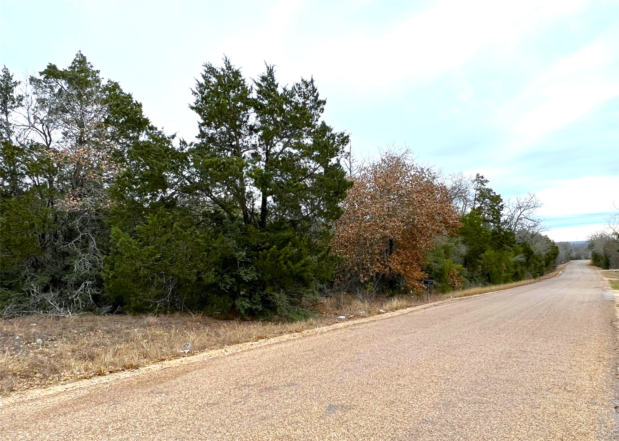 0 B J B J Mayes Road Bastrop, TX 78602 - Photo 11 of 32 a view of a road with plants and trees in the background