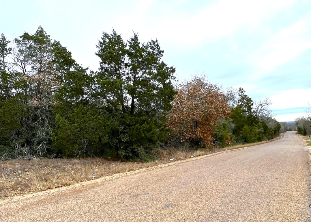 0 B J B J Mayes Road Bastrop, TX 78602 - Photo 11 of 32