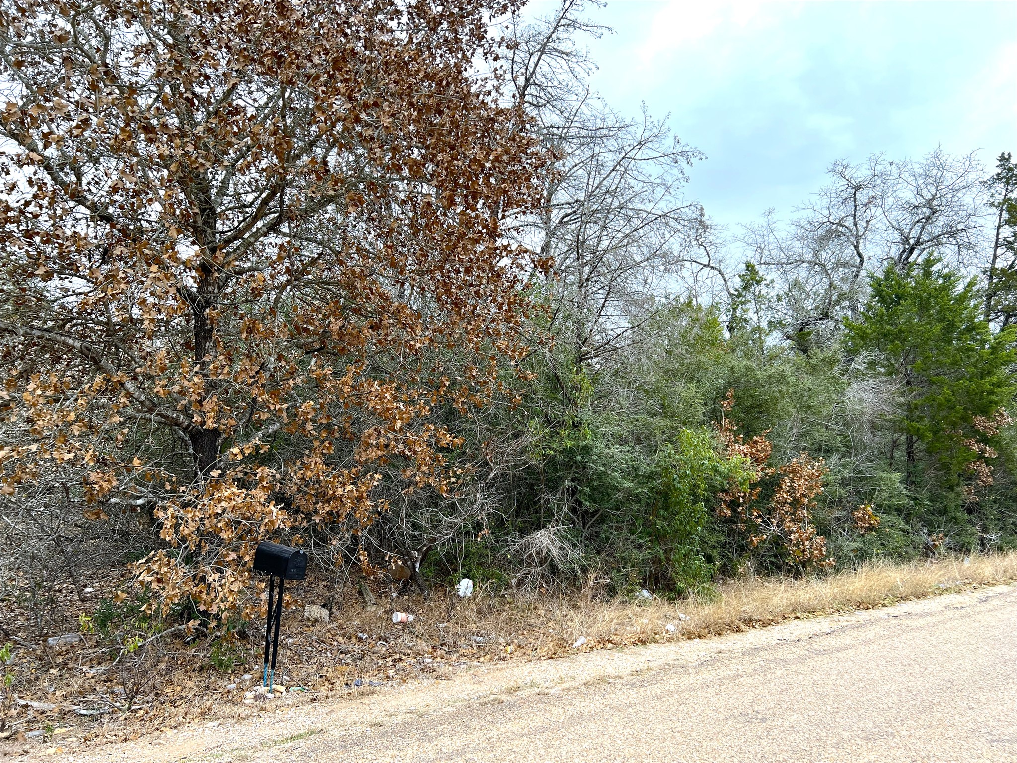 0 B J B J Mayes Road Bastrop, TX 78602 - Photo 12 of 32 a view of a yard with trees