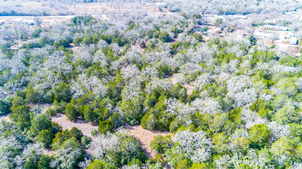 0 B J B J Mayes Road Bastrop, TX 78602 - Photo 15 of 32 a view of a garden with a tree