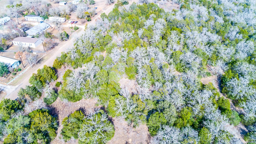 0 B J B J Mayes Road Bastrop, TX 78602 - Photo 17 of 32 a backyard of a house with lots of green space