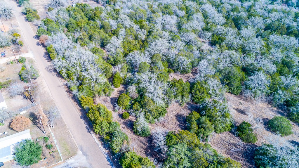 0 B J B J Mayes Road Bastrop, TX 78602 - Photo 18 of 32 a view of a garden with a flower