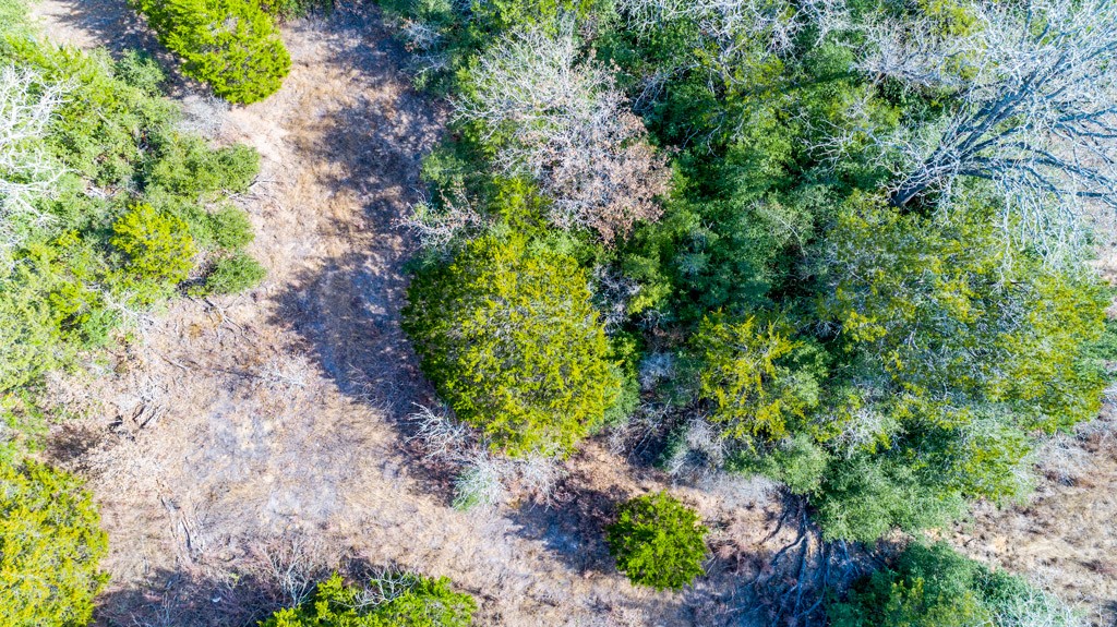 0 B J B J Mayes Road Bastrop, TX 78602 - Photo 20 of 32 a view of a garden with plants