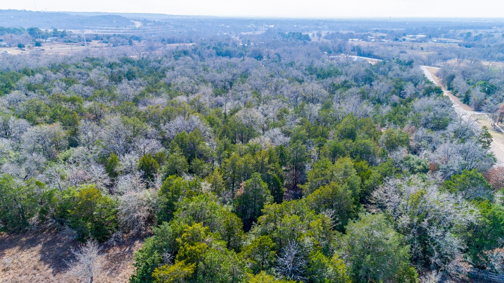 0 B J B J Mayes Road Bastrop, TX 78602 - Photo 22 of 32 an aerial view of town with trees around