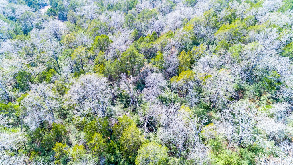 0 B J B J Mayes Road Bastrop, TX 78602 - Photo 25 of 32 a view of a garden with plants