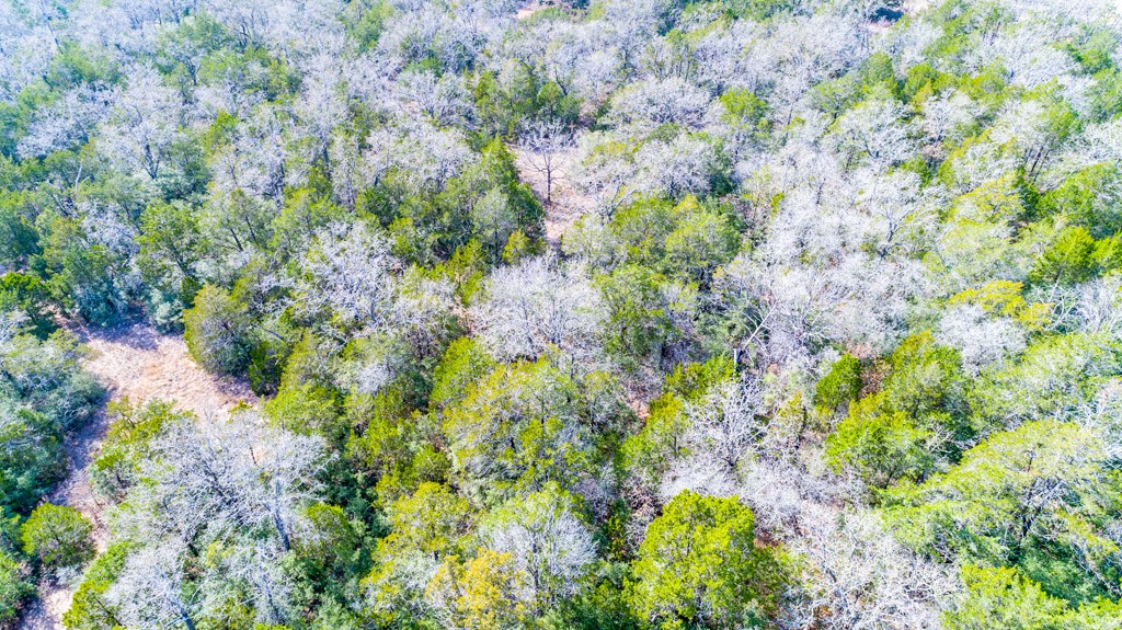 0 B J B J Mayes Road Bastrop, TX 78602 - Photo 27 of 32 a backyard of a house with lots of green space and trees