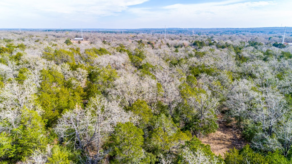 0 B J B J Mayes Road Bastrop, TX 78602 - Photo 28 of 32 an aerial view of a houses with a green space