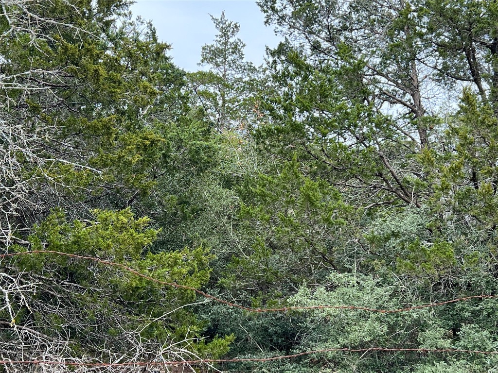 0 B J B J Mayes Road Bastrop, TX 78602 - Photo 29 of 32