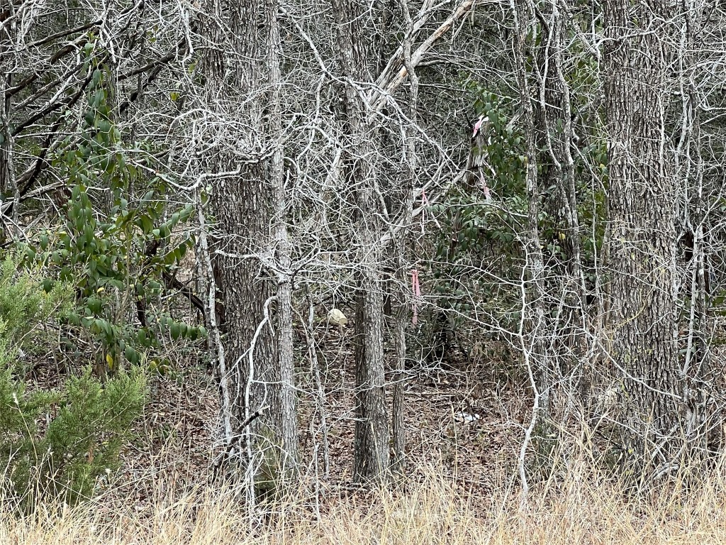 0 B J B J Mayes Road Bastrop, TX 78602 - Photo 32 of 32