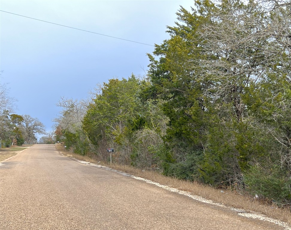 0 B J B J Mayes Road Bastrop, TX 78602 - Photo 6 of 32 a view of a field with plants and trees