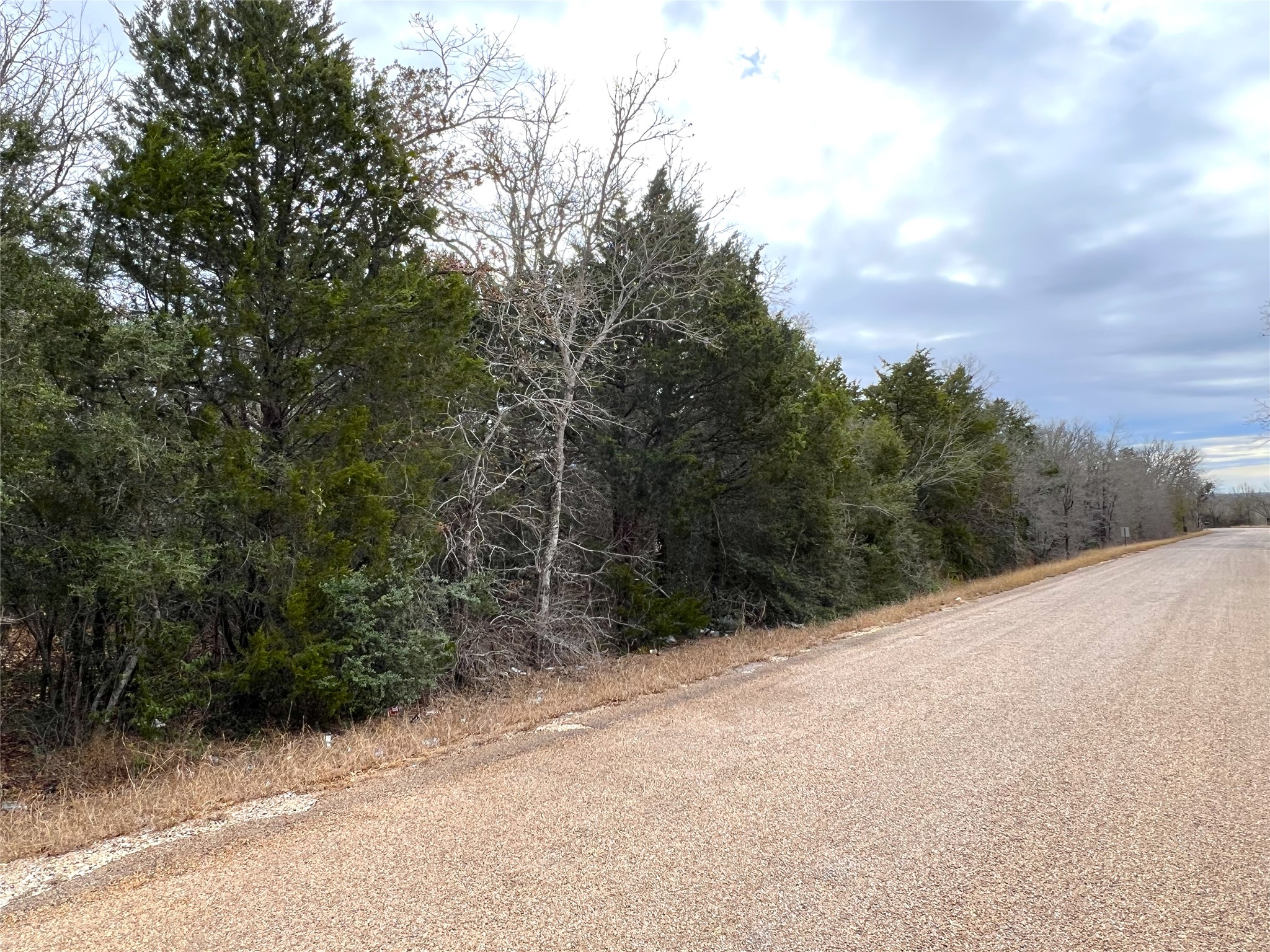 0 B J B J Mayes Road Bastrop, TX 78602 - Photo 7 of 32 a view of a road with trees in the background
