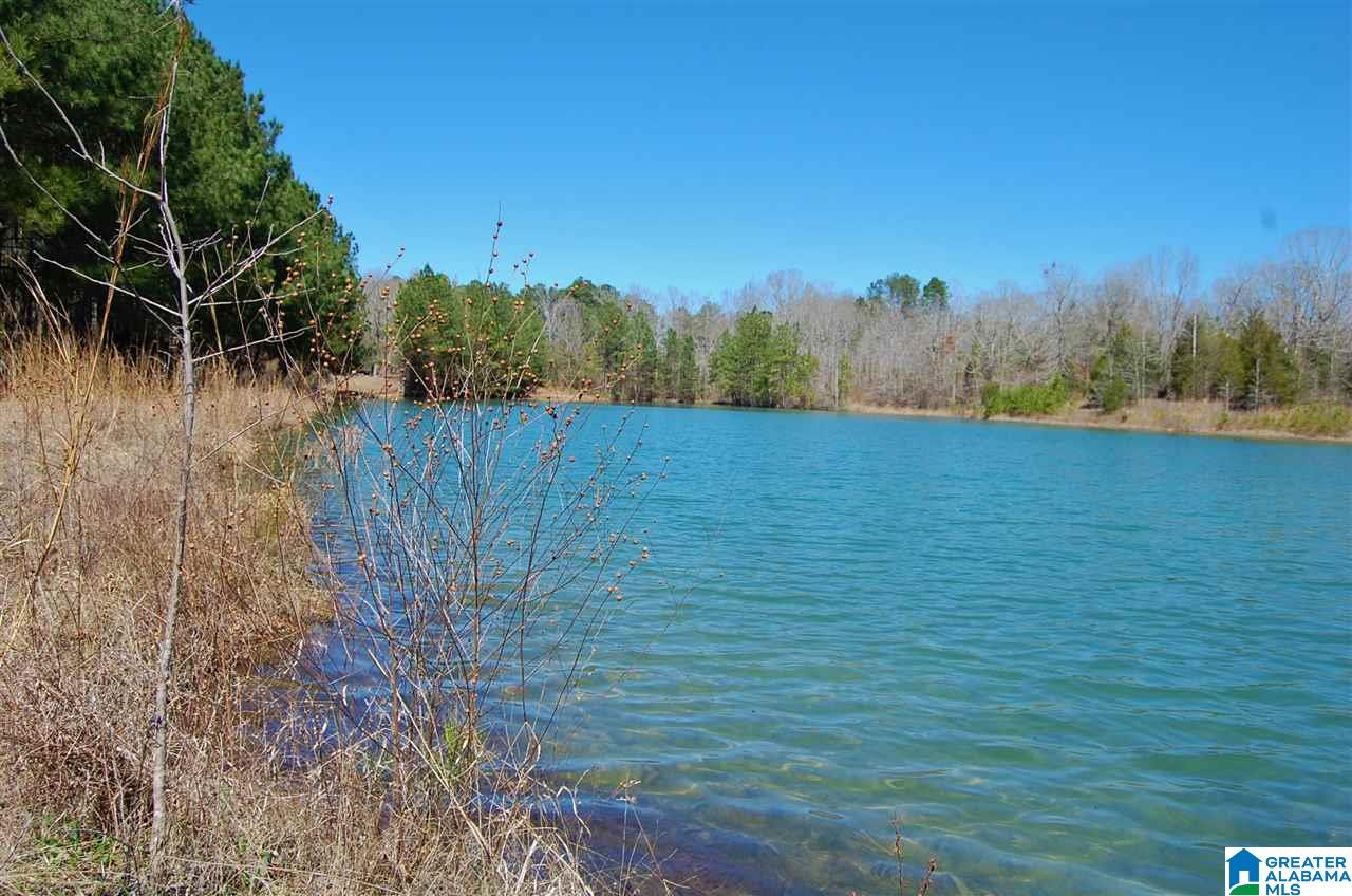 0 Melissa Robyn Road, Unit 1 Deatsville, AL 36022 - Photo 2 of 29
