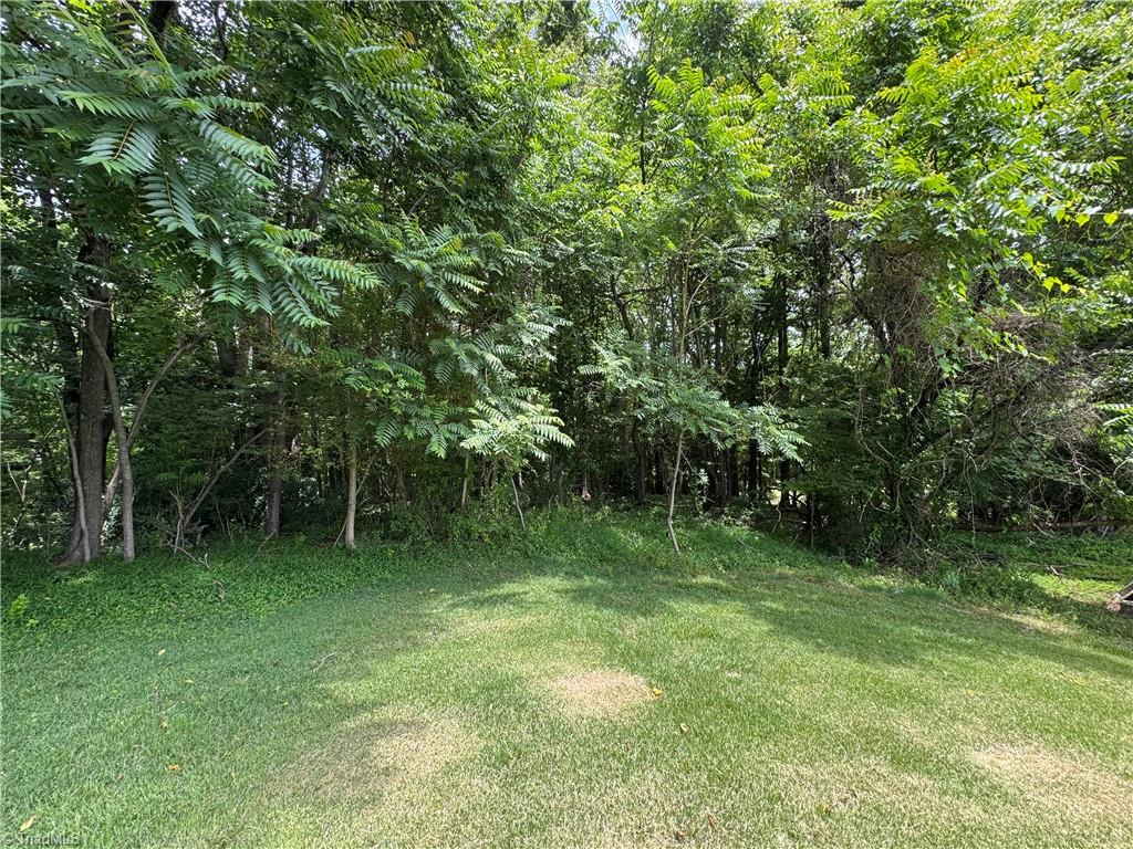 172 Poteat Road Mount Airy, NC 27030 - Photo 4 of 11