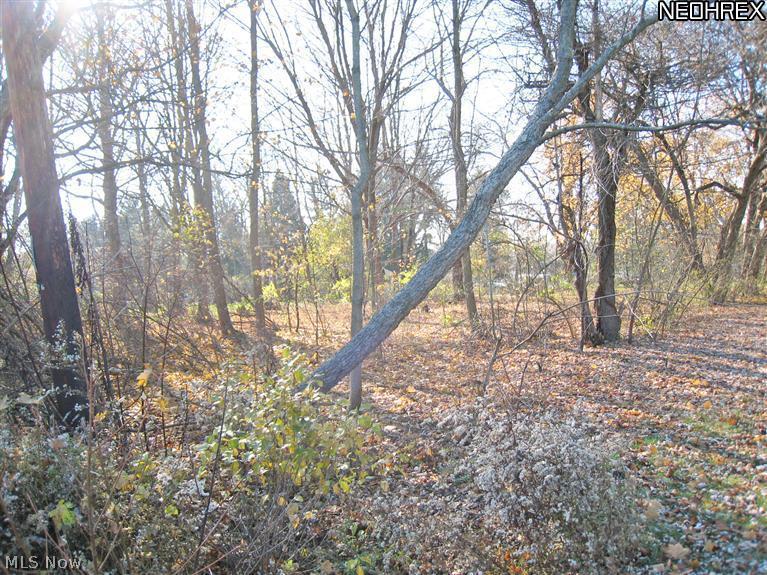 3249 Reimer Road Barberton, OH 44203 - Photo 8 of 10 Gallery Image 8