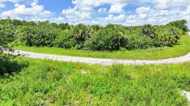 a view of a big yard with large trees