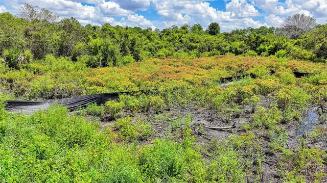 a view of a garden with a building