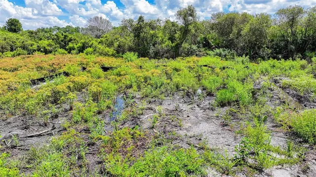 a view of a garden with a building
