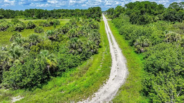 a view of a yard with plants