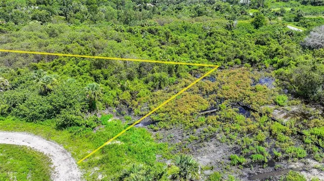 a view of a yard with a lush green forest