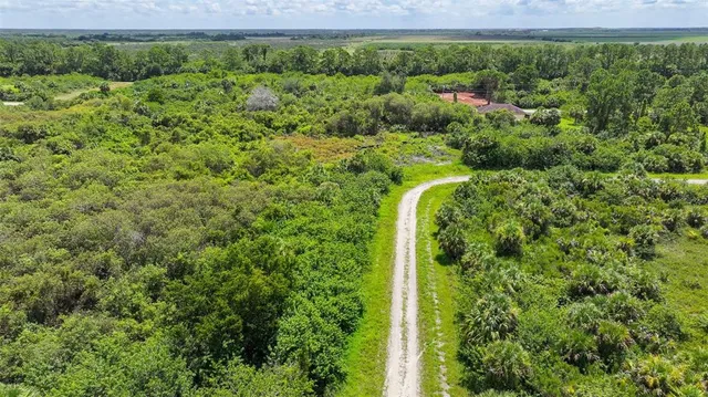a view of a garden with a tree