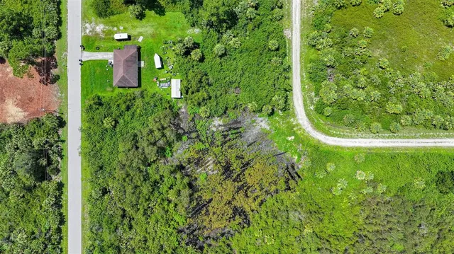 a view of a garden with plants