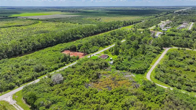 a view of a garden with an outdoor space